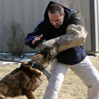 JOHN BERTUCA - K9 Training Advisor for Controlled F.O.R.C.E. Working Dogs