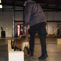 Police K9 Explosive Detection Class